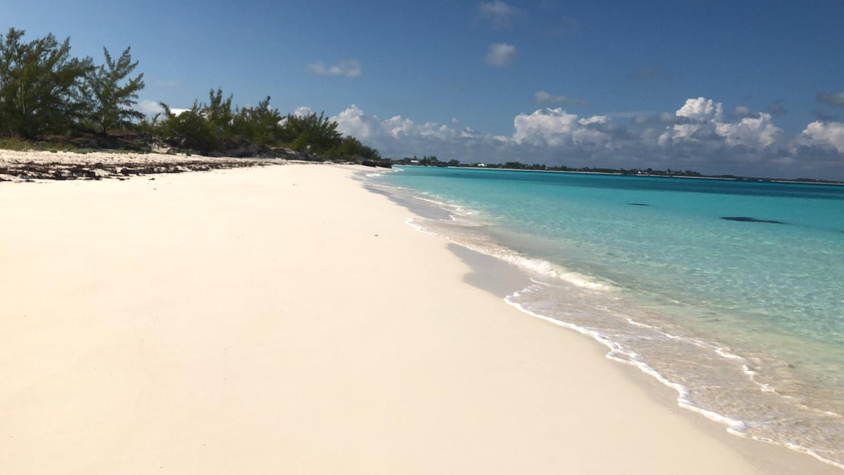 The Bahamas 2026-2027 Calendar        ▪︎        18 Month Calendar